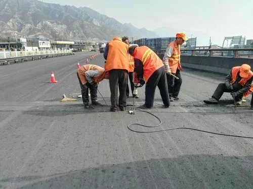 海西直辖道路桥梁病害治理